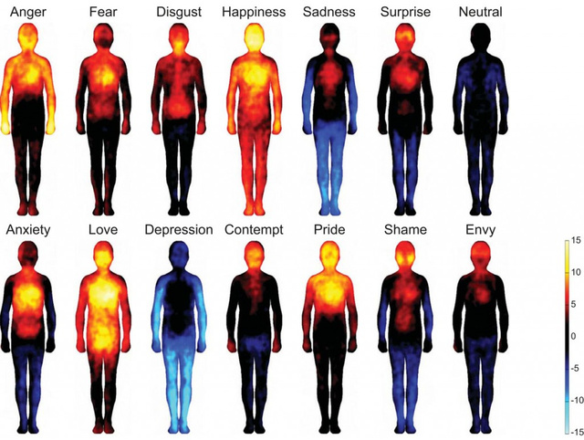Partes de tu cuerpo que se activa con tus emociones